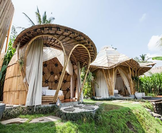 Bamboo House